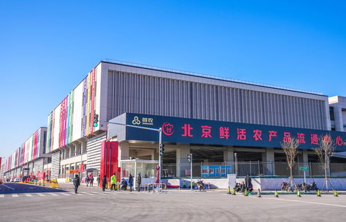 山東蘭陵蔬菜將規模化進京