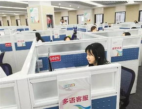 14個語種近300名翻譯 g20峰會多語服務(wù)平臺96020將上線